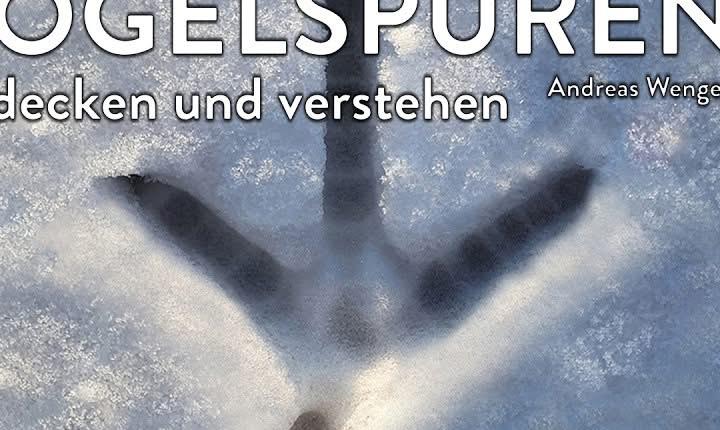 Facebook Post 1342085291299557