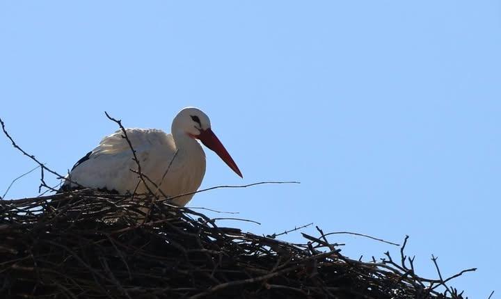 Facebook Post 1342882291219857