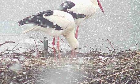 Facebook Post 1357402333101186