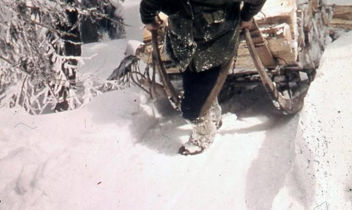 Facebook Post 1357585563082863