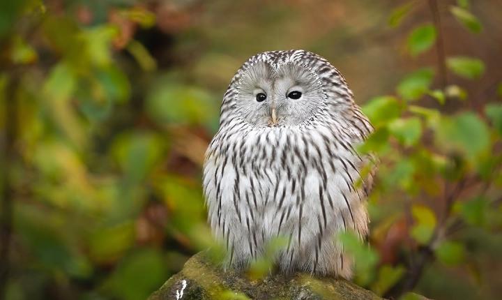 Facebook Post 1363469449161141