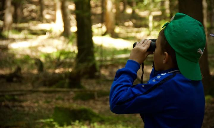 Facebook Post 1364191245755628