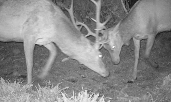 Facebook Post 1364358839072202