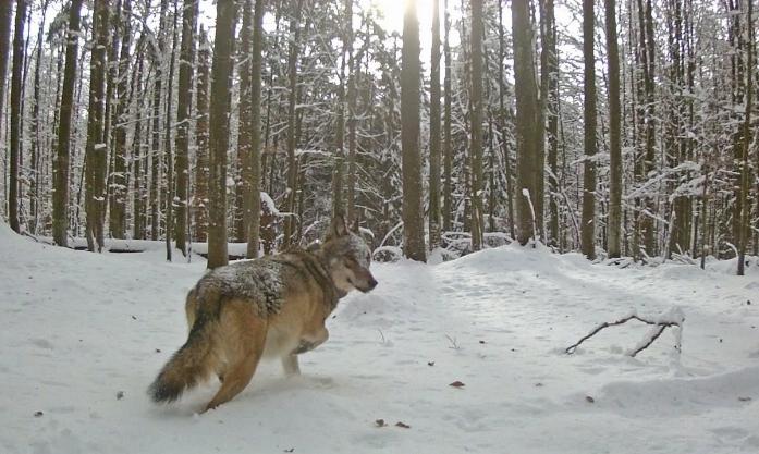 Facebook Post 1367485285426224