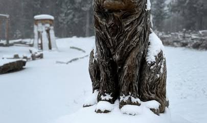 Facebook Post 1250767160431371