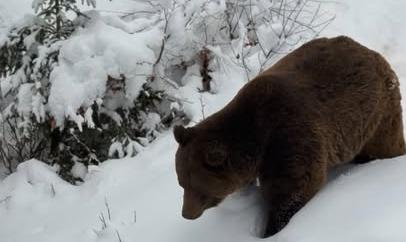 Facebook Post 1322405216600898