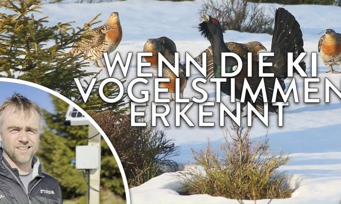 Facebook Post 1348657317309021