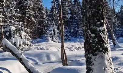 Facebook Post 1290548793119874