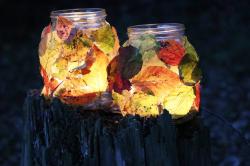 Video-Tutorial: So werden aus alten Gläsern bunte Windlichter Aus alten Gläsern und bunten Blättern lässt sich schnell ein toll strahlendes Windlicht basteln. (Foto: Annette Nigl / Nationalpark Bayerischer Wald)