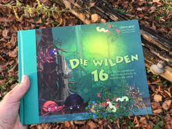 In "Die wilden 16" erleben die Urwaldkäfer spannende Abenteuer. Ab sofort ist das Kinderbuch im Handel erhältlich. (Foto: Annette Nigl / Nationalpark Bayerischer Wald)