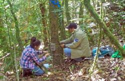 40 Wildtierkameras hat Andrea Morales in Zusammenarbeit mit den Rangern des Nationalparks Montecristo aufgehängt. (Foto: Nationalpark Montecristo)