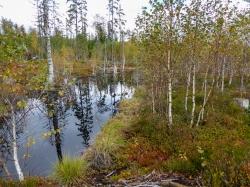 Das Finsterauer Filz ist einer der besonderen Naturschätze im geplanten Erweiterungsgebiet. Foto: Hellmut Böhmisch