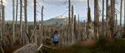 ... sondern auch die Menschen, die im Nationalpark unterwegs sind.