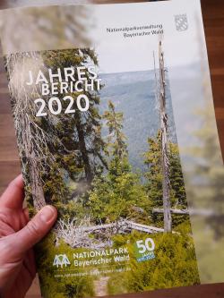 Der Jahresbericht gibt einen Überblick über die Geschehnisse im Nationalpark Bayerischer Wald im Jahr 2020. (Foto: Annette Nigl/Nationalpark Bayerischer Wald)
