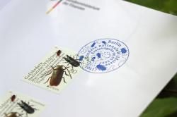 Das Ersttagsblatt beinhaltet zwei am Erscheinungstag der Briefmarke abgestempelte Exemplare des Postwertzeichens. Foto: Gregor Wolf