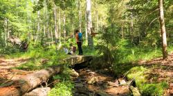 Rund 350 Kilometer lang  ist das markierte Wanderwegenetz im Nationalpark. Hier können Besucher die wilde Natur im Schutzgebiet entdecken und genießen. Foto: Sandra Schrönghammer