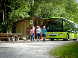 Für den Igelbus gibt es für die Zeit der Vollsperrung der Gfällstraße einen neuen Fahrplan. (Foto: Daniela Blöchinger / Nationalpark Bayerischer Wald)