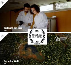 Wurden beim Naturvision-Festival 2021 ausgezeichnet: "Der wilde Wald" und "Festmahl der Tiere". (Screenshots: Website Naturvision)