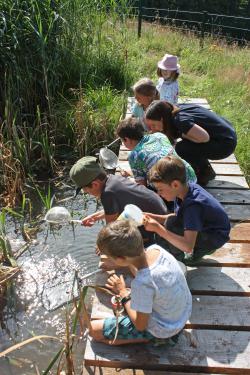 Die Schüler beim erforschen des Jugendwaldheim-Teichs. Foto: Jan Günther