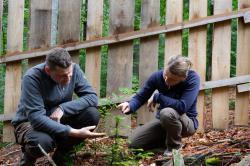 Wollen seltene Baumarten fördern: Silvia Pflug und Martin Scholz. Fotos: Andreas Stumpp