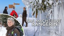 Rangerin Christine Schopf ist oft rund um den Lusen im Einsatz. Fotos: Annette Nigl, Gregor Wolf
