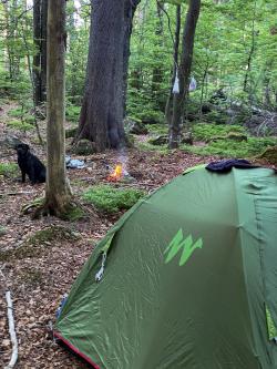 Die Zahl der Wildcamper ist 2021 angestiegen. Oftmals werden nicht nur Zelte aufgeschlagen, sondern auch Lagerfeuer angezündet. Foto: Nationalparkwacht