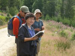 Die taiwanesische Umweltstatistikerin Anne Chao unterstützt den Nationalpark bei seiner Totholzforschung.
Foto: Simon Thorn