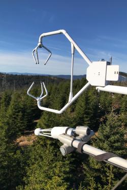 CO2-Messungen werden im Nationalpark auch mit dem Forschungsturm am Lackaberg durchgeführt. Foto: Rainer Steinbrecher