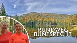 Steffi und Marina von der Ferienregion Nationalpark Bayerischer Wald nehmen euch im Video mit auf den Rundweg Buntspecht.