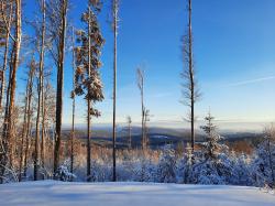 Der Nationalpark Bayerischer Wald wurde nordöstlich der Ortschaft Finsterau um 600 Hektar erweitert. Foto: NPV