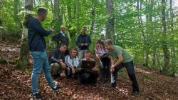 Bei der Auswertung der Fotodaten erhielten die Mitarbeiter in Albanien tatkräftige Unterstützung aus dem Nationalpark Bayerischer Wald. (Foto: NP Prespa)