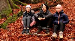 Die Schüler der Georg von Pasterwiz-Schule Hohenau wissen viel über die Bedeutung von Totholz im Wald. Foto: Nationalpark Bayerischer Wald