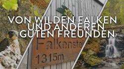 Bei der neusten Hörwanderung geht es von Scheuereck auf den Großen Falkenstein. Grafik: Nationalpark Bayerischer Wald