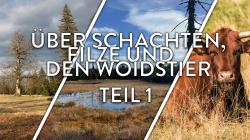 In der aktuellen Podcast Folge sind die Schachten und Filze in den Hochlagen des Nationalparks Thema. Bild/Grafik: NPV