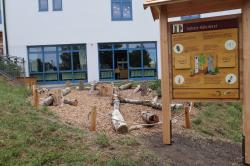 Das Totholzbeet bietet mit den kreuz und quer liegenden Stämmen Käfern und Insekten einen Lebensraum. (Fotos: Nationalpark Bayerischer Wald)