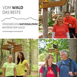 Drei Szenen, die beim gemeinsamen Videoprojekt von Ferienregion und Nationalpark entstanden sind.