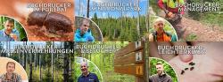 Drei Experten geben in sechs Videos einen Kurzüberblick zu den verschiedensten Themen rund um die Buchdrucker. Vorschaubilder: Markus Bollinger, Lukas Haselberger, Nationalpark Bayerischer Wald