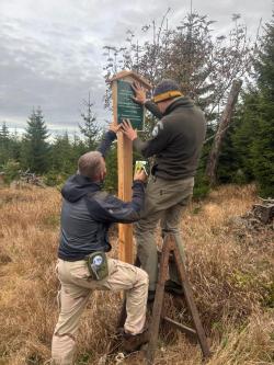 Mitarbeiter des Nationalparks Šumava bringen die neue Infotafeln bezüglich des Wegegebots an.