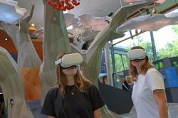 Bei "NEXUS - Im Bann des Waldes" konnte man dank Virtual-Reality-Brillen im digitalen Wald auf die Suche nach mystischen Wesen gehen. Fotos: Gregor Wolf