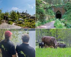 Wandern am Plöckenstein (oben links), Schwarzenbergscher Schwemmkanal (oben rechts), Blick auf den Schwarzen See (unten links), Beweidung nahe Fürstenhut. Fotos: Julia Reihofer, Annette Nigl