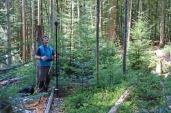 Mithilfe von Fernerkundungsdaten - wie Satellitendaten - und künstlicher Intelligenz sollen Schwachstellen im Ökosystem Wald schneller entdeckt werden können. (Foto: Gregor Wolf/Nationalpark Bayerischer Wald)