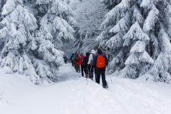 Gemeinsam durch den verschneiten Winterwald wandeln und dabei gleich noch viele Infos bekommen: Das garantiert die Teilnahme an einer Führung im Nationalpark. (Fotos: Steffen Krieger)
