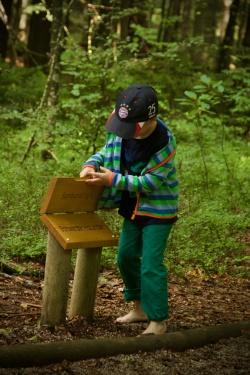 Entlang des Barfußpfades gibt’s im Waldspielgelände viel zu entdecken. Foto: Irene Gianordoli