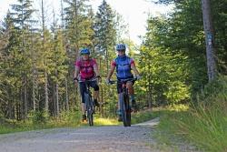 Zwischen Trinkwassertalsperre Frauenau und Hochschachten geht es zunächst nur mäßig bergauf. Später müssen Radfahrer an den steileren Stücken jedoch kräftigt in die Pedale treten.