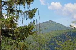 Vom Berggipfel aus genießt man nicht nur einen grandiosen Blick ins Nationalparkvorfeld, sondern auch auf den Lusen. Foto: Gregor Wolf