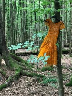 Wenn der Wald zur Bühne wird... Foto: Alexandra von Poschinger