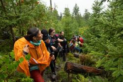 Die wilde Natur des Nationalparks Bayerischer Wald faszinierte die Teilnehmer der Wanderung selbst bei anhaltendem Regen. Foto: Klaus Möller/Waldzeit