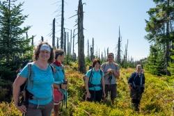 Der Wettergott bescherte der Gruppe jedoch auch traumhaftes Wanderwetter. Foto: Klaus Möller/Waldzeit