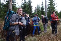 Durch Ferngläser konnten die Teilnehmer gute Blicke auf röhrende Hirsche erhaschen. Foto: Hanni Reischl/WaldZeit