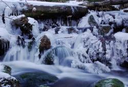 Zauberhafte Formen aus Eis finden sich im Winter an den zum Teil gefrorenen Bächen. – Foto: Rainer Simonis